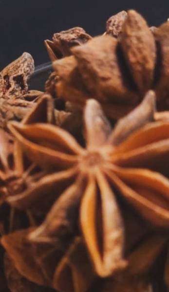 Rita Soa - restaurant NANS-LES-PINS - meilleur restaurant NANS-LES-PINS